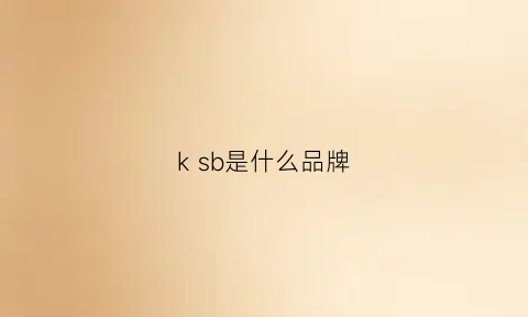 ksb是什么品牌(ks是什么牌子的衣服)